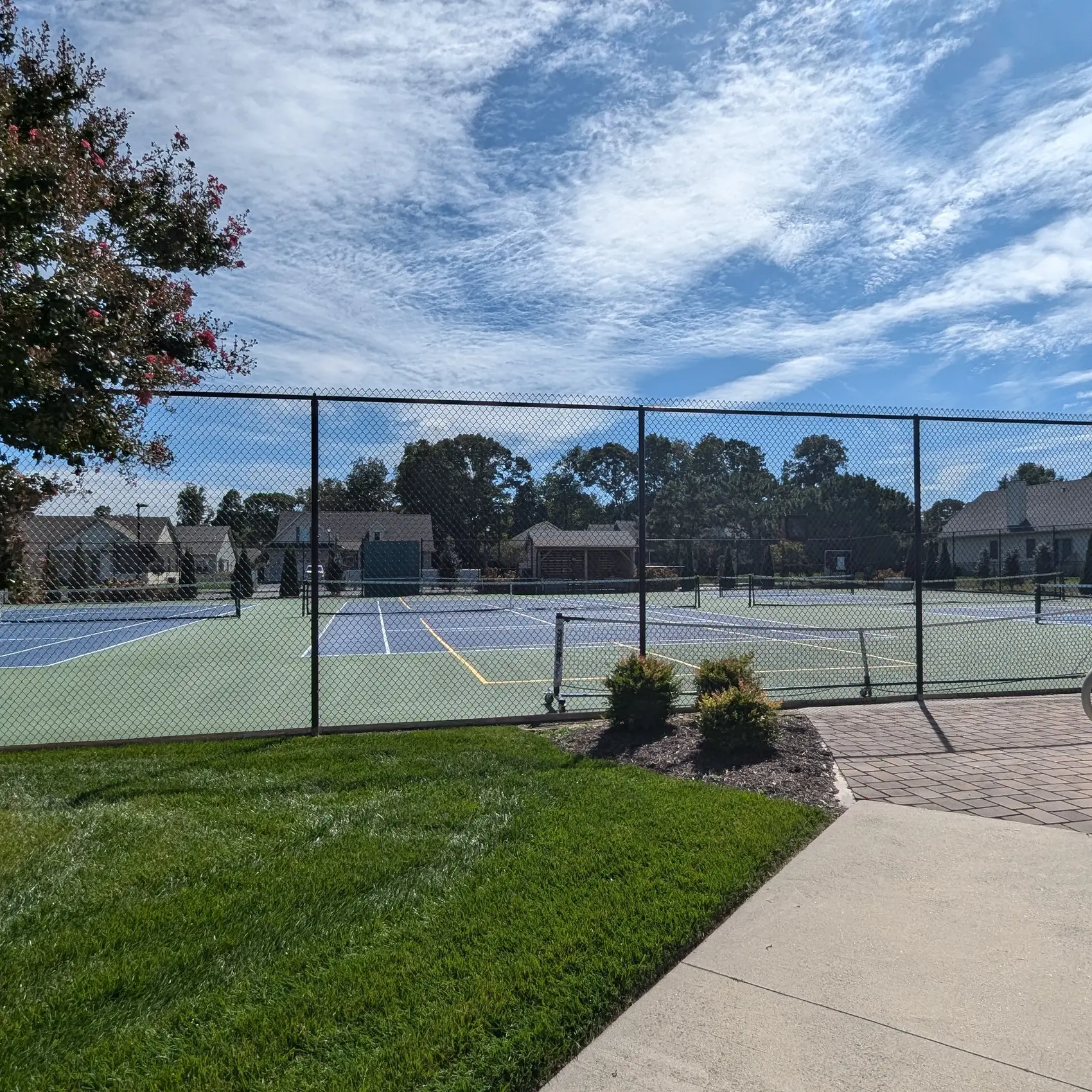 Pickleball Court Behind Fence