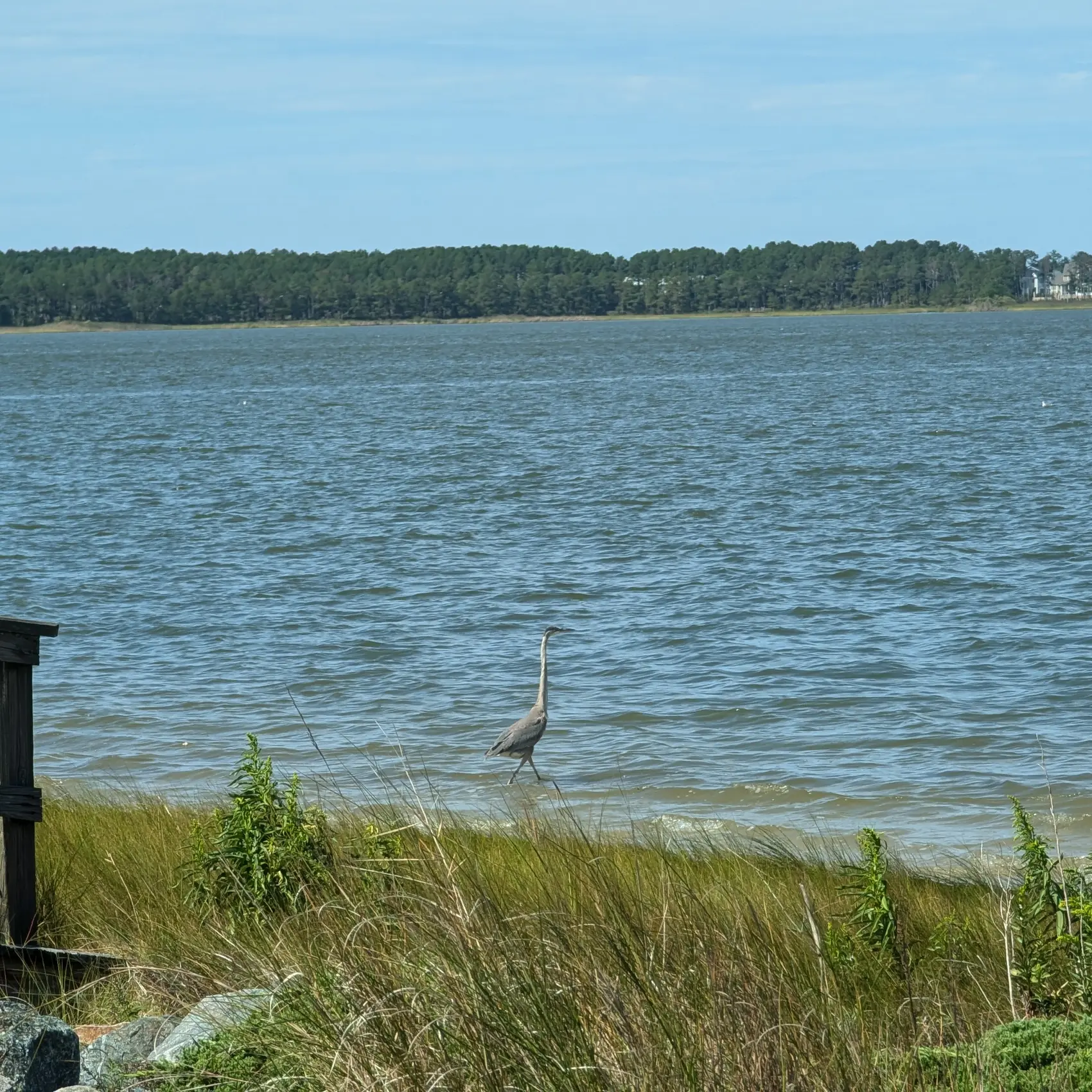 Bay Colony Indian River Bay Bay Colony Indian River Bay