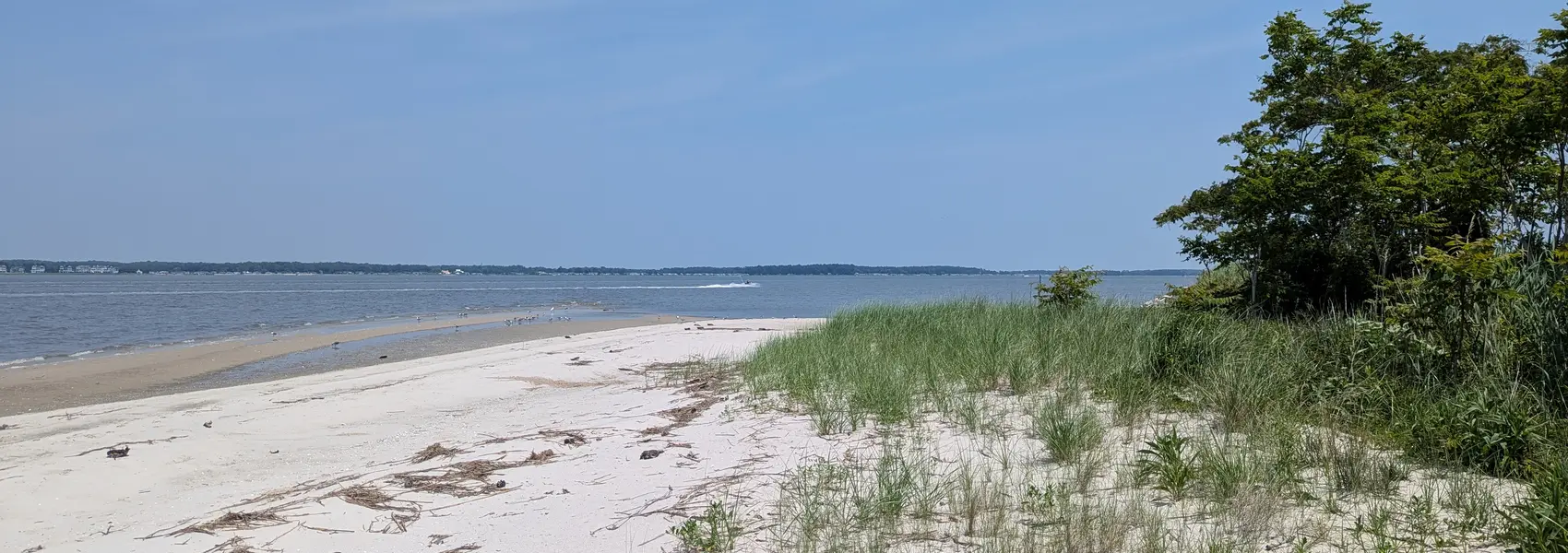 Our Beach in Spring 2025